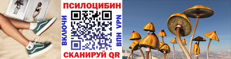 Галлюциногенные грибы Psilocybe  Волгореченск 